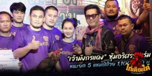 ข่าวไก่ชน