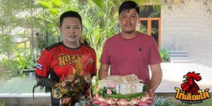 ข่าวไก่ชน