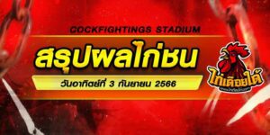 ผลไก่ชน
