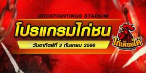 โปรแกรมไก่ชน