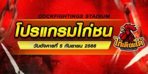 โปรแกรมไก่ชน
