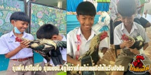 ข่าวไก่ชน