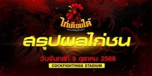 ผลไก่ชน