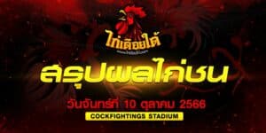 ผลไก่ชน