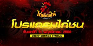 ผลไก่ชน