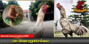 ประวัติเเละกฎกติกา