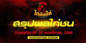 สรุปผลไก่ชน