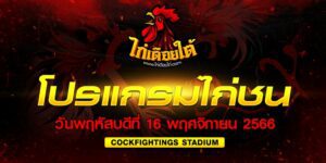 โปรแกรมไก่ชน