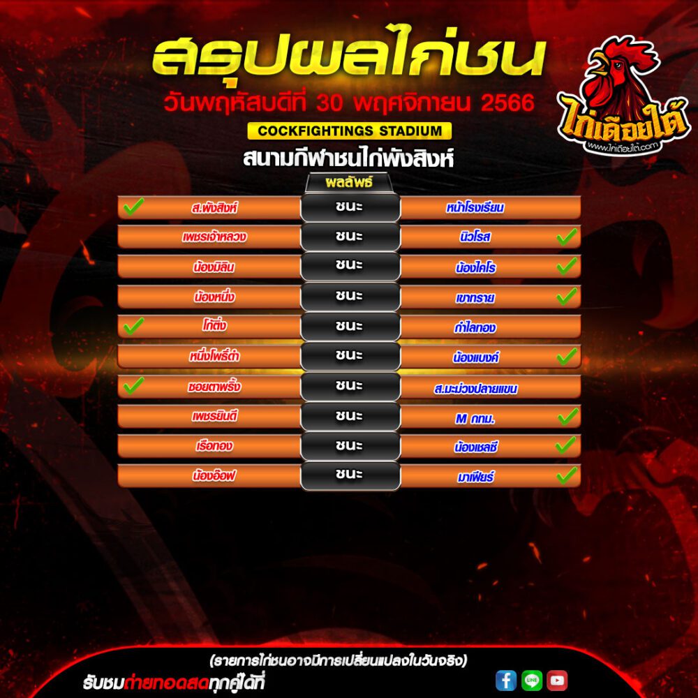 ผลไก่ชน