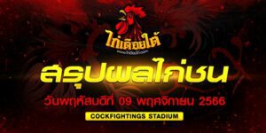ผลไก่ชน