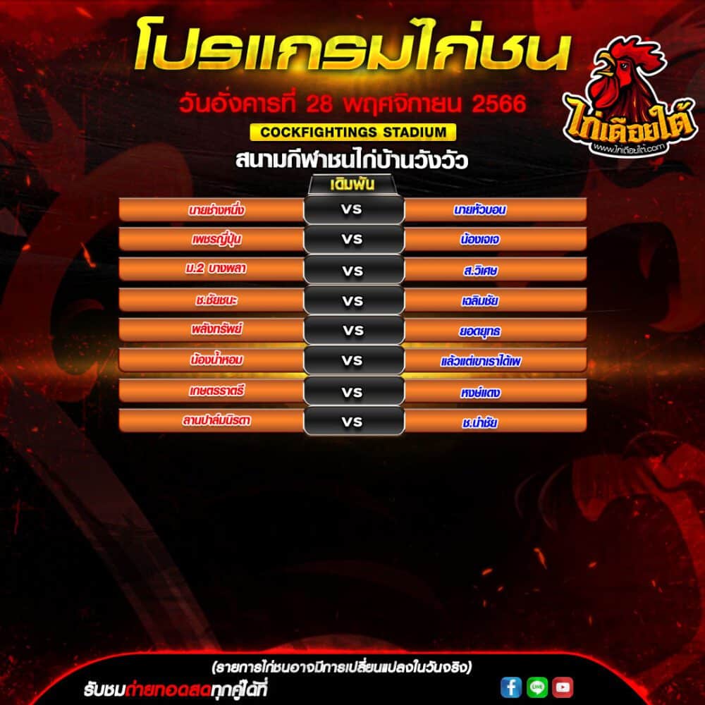 ราคาไก่ชนวันนี้