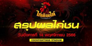 สรุปผลไก่ชน