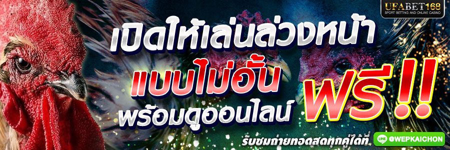 ไก่ชนออนไลน์