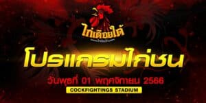 โปรแกรมไก่ชน