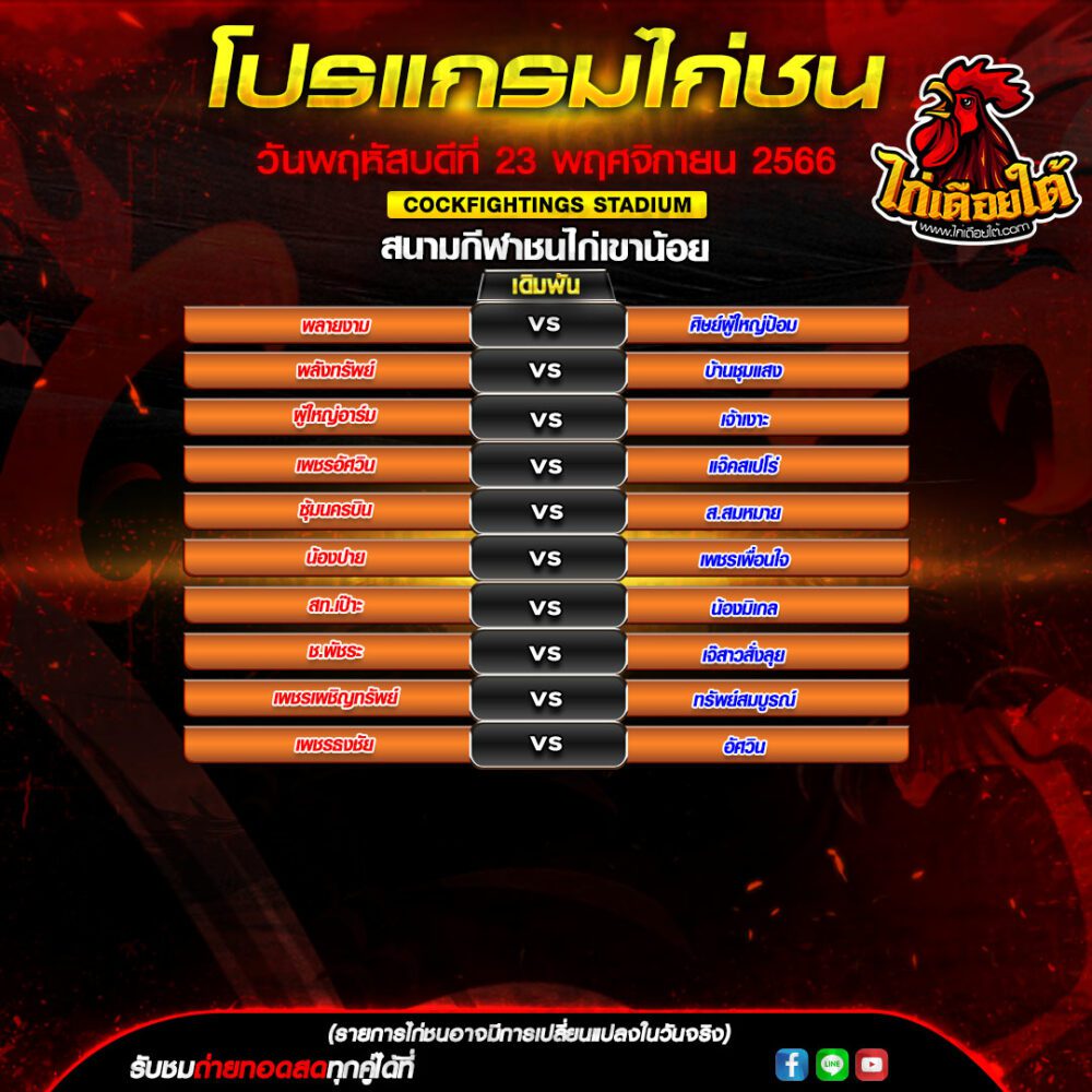 โปรแกรมไก่ชน
