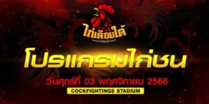 โปรแกรมไก่ชน