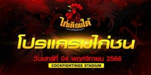 โปรแกรมไก่ชน