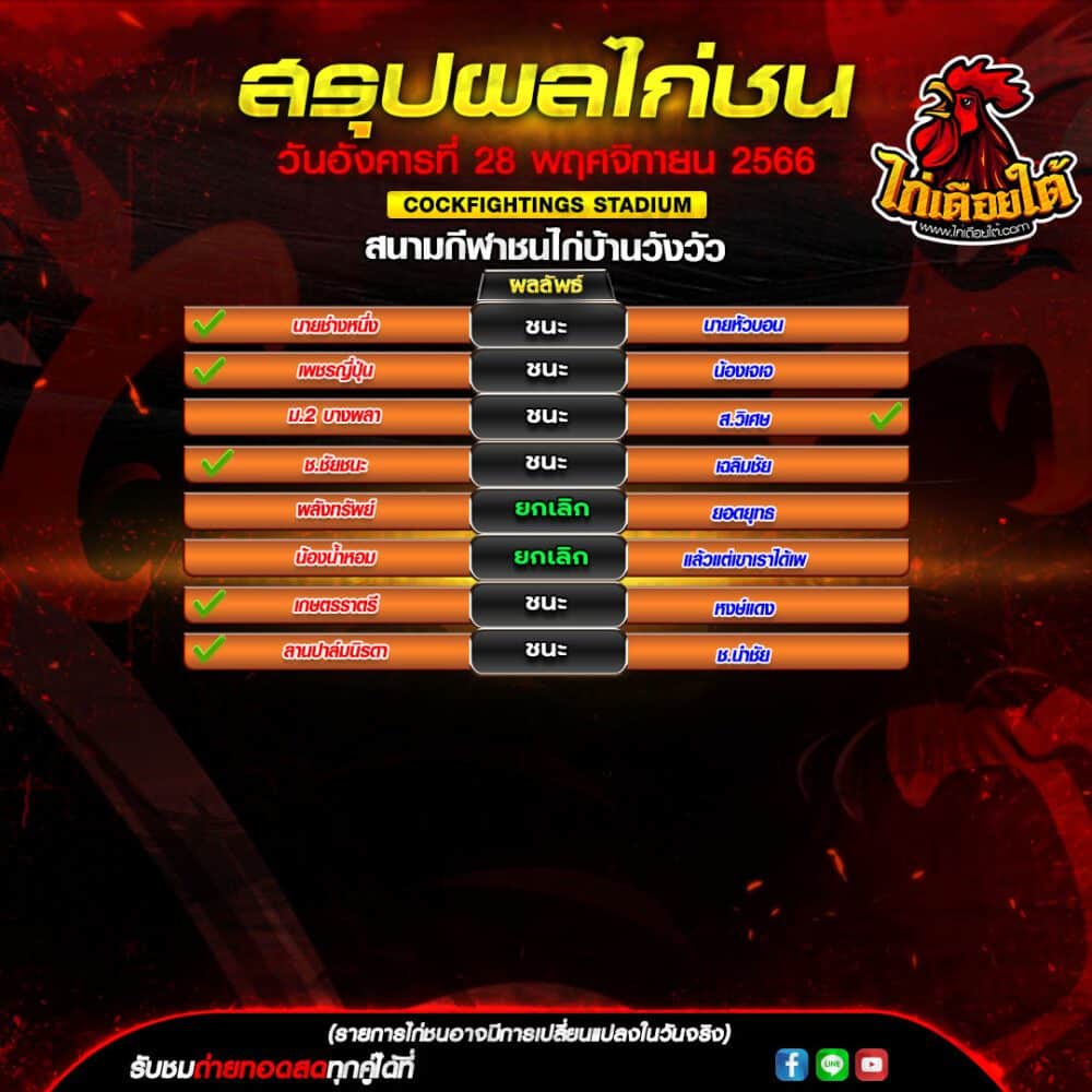 ไก่ชนล่าสุด-วันนี้