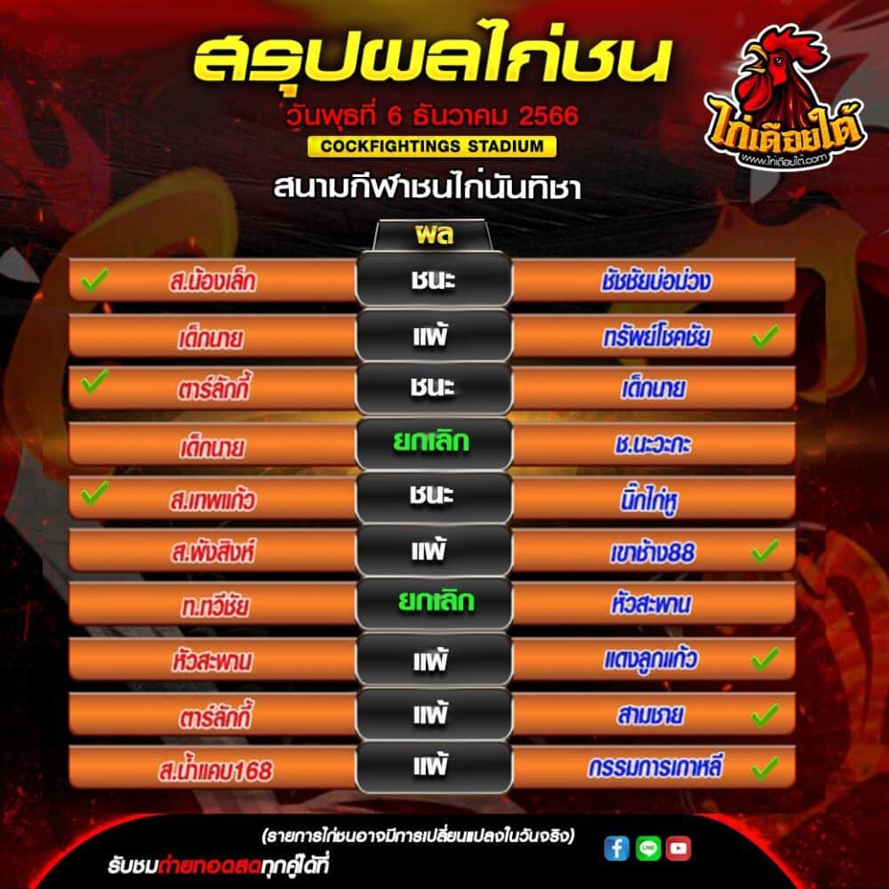ผลไก่ชน ชนไก่วันนี้
