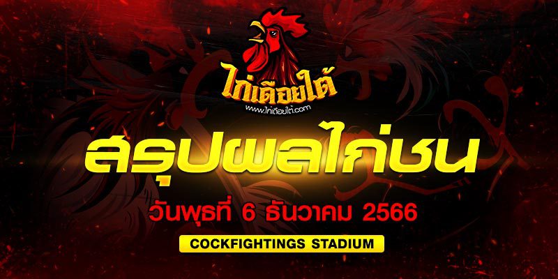 ผลไก่ชน ชนไก่วันนี้