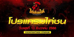 ไก่ชน เงินล้าน ถ่ายทอดสด