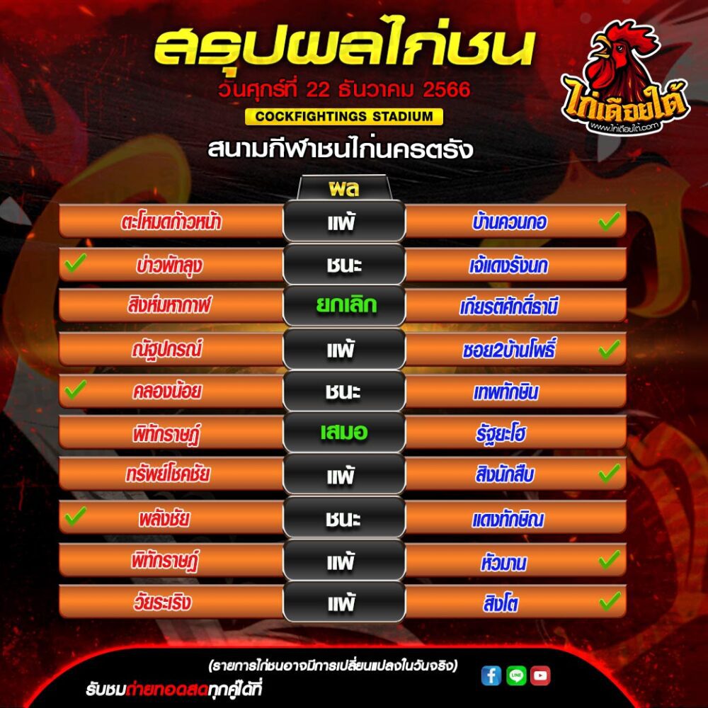 ไฮไลท์ไก่ชน