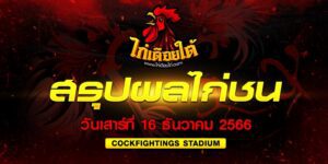 ไก่ชนวันนี้50ล้าน