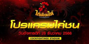 ไก่ชนเงินล้านปี65
