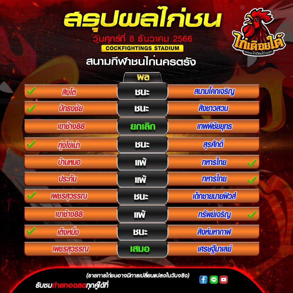ดูไก่ตีกันในสังเวียน