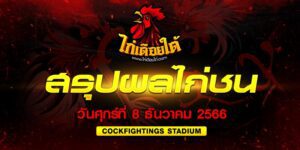 ดูไก่ตีกันในสังเวียน