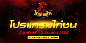 เว็บไก่ชนออนไลน์