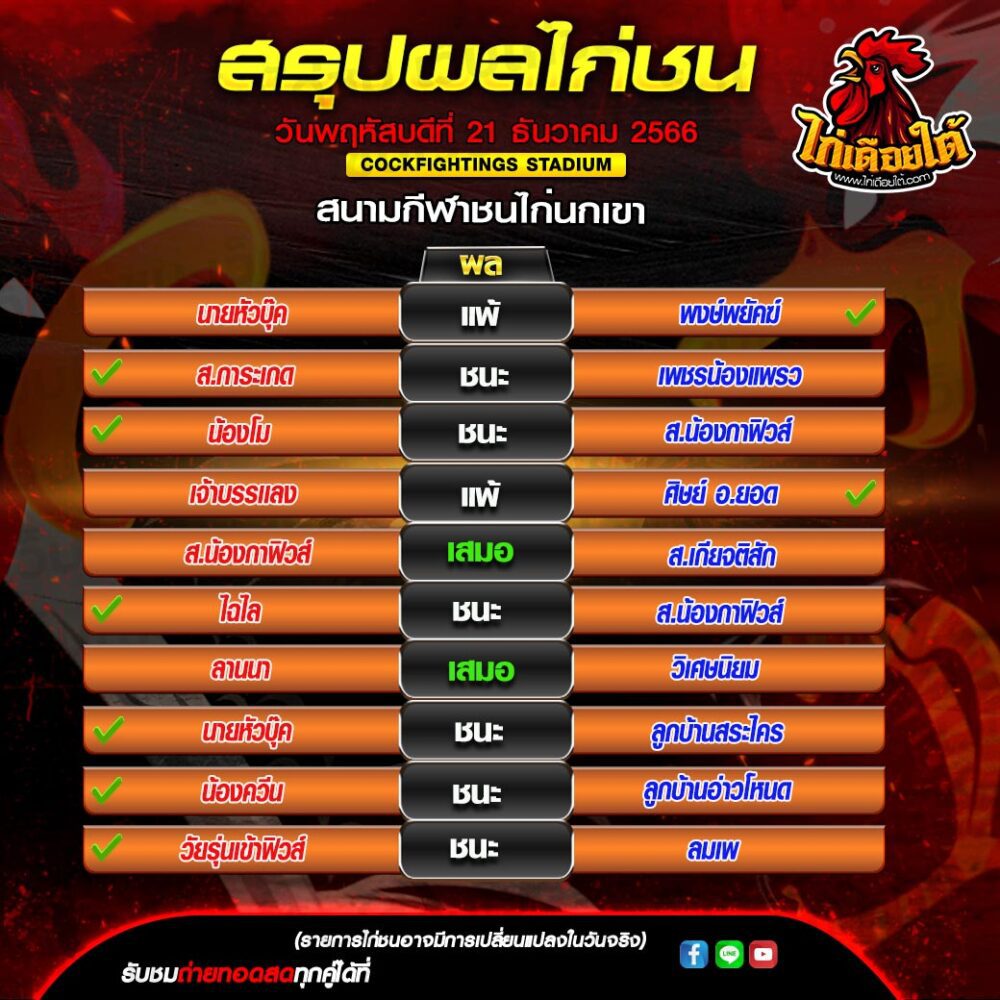 ดูไก่ชนตีกัน