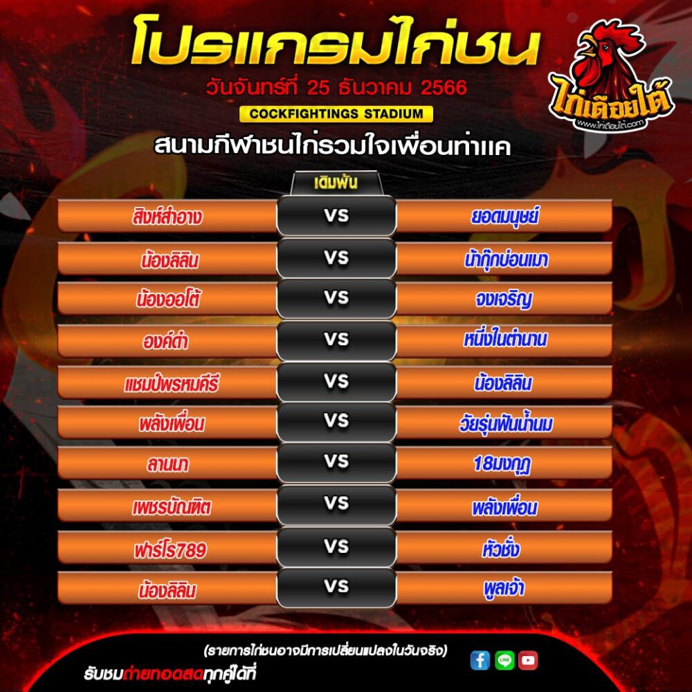 ไก่ชน ล่าสุด