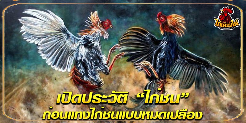 ประวัติศาสตร์ของ ไก่ชน