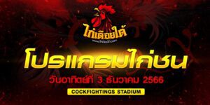 สนามกีฬาชนไก่ สักงาม