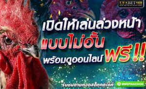 เดิมพันไก่ชน
