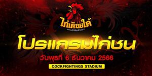 พนันไก่ชนออนไลน์
