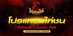 เว็บไก่ชนใต้