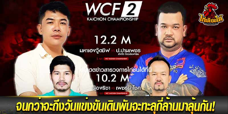 ไฮไลท์ ไก่ชนสด