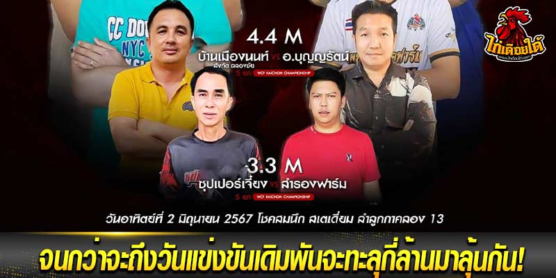ไก่ชนสด คู่หยุด โลก