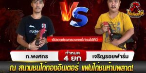 ไก่ชน คู่มันส์ วันนี้