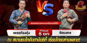 ไก่ชน คู่ดุ เดือด