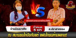 สนามชนไก่บึงทับแต้