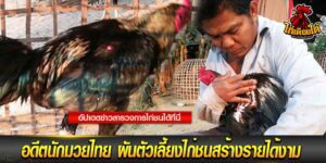 คนรัก ไก่ชนออนไลน์