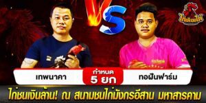 ไก่พม่าเก่งที่สุด
