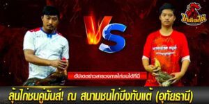 ไก่ชนเดือยสังหาร