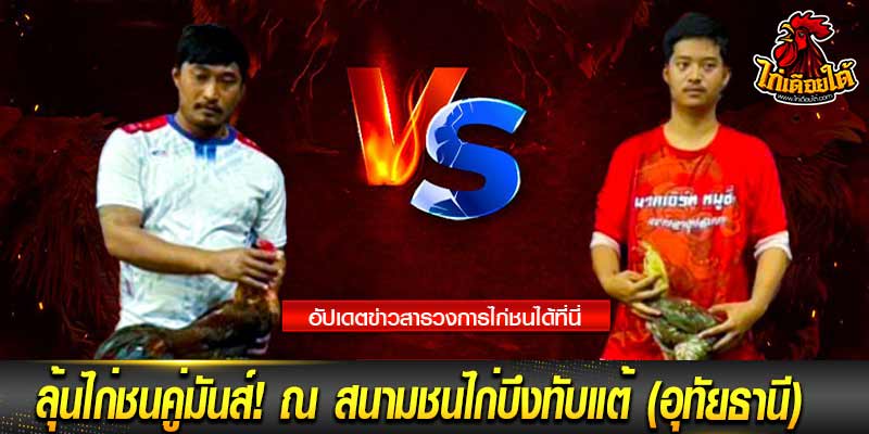ไก่ชนเดือยสังหาร