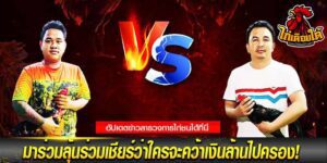 ข่าวไก่ชน