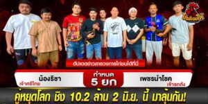 ถ่ายทอด สด ไก่ชน เงินล้าน
