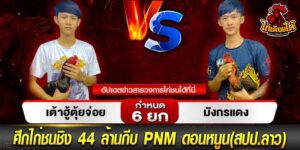 แทงไก่ ออนไลน์
